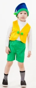 Детский карнавальный костюм Гном «Тоша» для мальчиков и девочек
