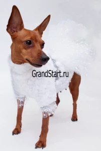 Новогодний костюм «Снегурочка» для животных
