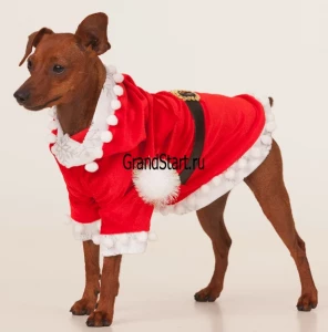 Новогодний костюм «Санта Клаус» для животных