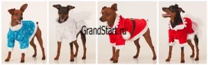 Новогодний костюм «Санточка» для животных