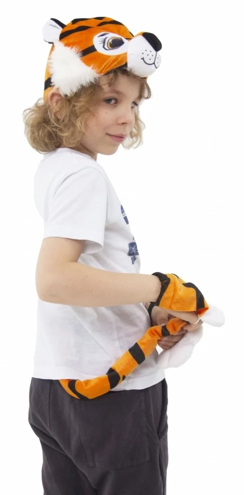 Дети бари. Лапы тигра перчатки. Кому 7 лет костюм кошечки с хвостом с лапками и с маской. Лапы тигра купить. Перчатки лапки маска фото.
